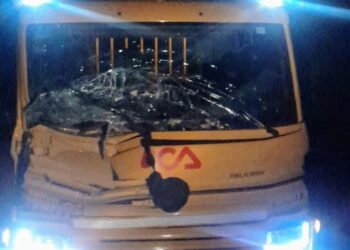 Un camión impactó contra un caballo en la ruta nacional 20