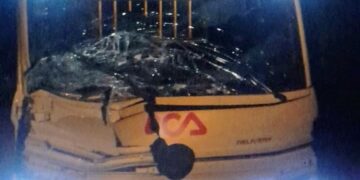 Un camión impactó contra un caballo en la ruta nacional 20