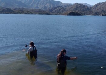 Fiscalizan el agua del dique Nogolí y los ríos que lo abastecen