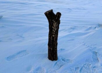 El Milagroso Señor de Renca fue entronizado en la Base Marambio