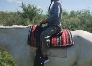 Desvalijan centro de equinoterapia en San Francisco del Monte de Oro