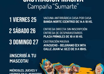San Francisco: Campaña SUMARTE. Castración y vacunación masiva de mascotas