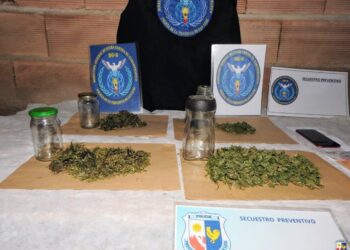 San Francisco del Monte de Oro: la Policía incautó droga valuada en casi 2 millones de pesos