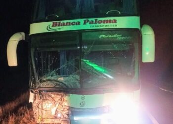 Un colectivo embistió a un animal vacuno en la ruta nacional 79