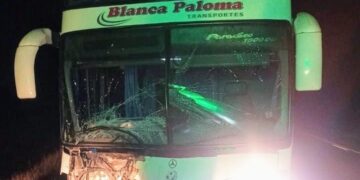 Un colectivo embistió a un animal vacuno en la ruta nacional 79