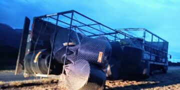 Volcó la carga de un camión en la ruta nacional 146
