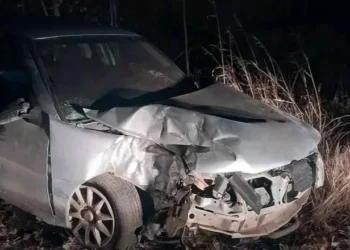 Perdió el control del auto y chochó contra un árbol