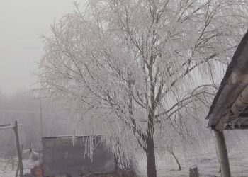 Nieve en La Carolina