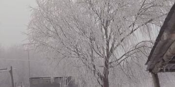 Nieve en La Carolina