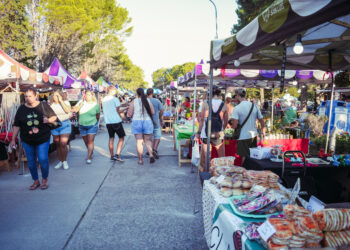 ‘Eco La Toma’ arribará para brindar una jornada ambiental a la comunidad