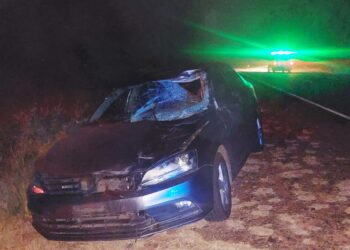 Accidente en Ruta 147: un vehículo impactó contra un caballo durante la madrugada