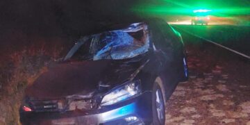 Accidente en Ruta 147: un vehículo impactó contra un caballo durante la madrugada