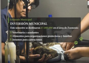 Tilisarao, y el cuidado de los animales como política municipal