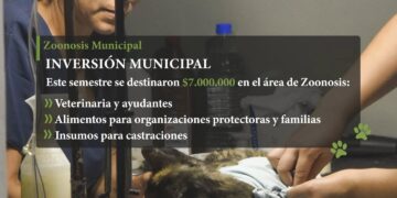 Tilisarao, y el cuidado de los animales como política municipal