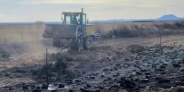 Sofocaron un incendio a la vera de la ruta provincial 2