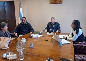 Senadores recibieron a representantes de APTS con el objetivo de impulsar la aprobación de la «Ley Juanita Torre»