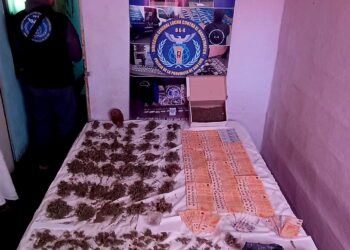 Desbaratan droga valuada en más de 10 millones de pesos en centros de distribución en San Luis y Córdoba