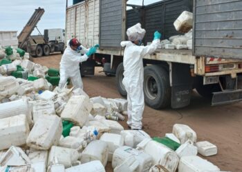 Reunieron más de 2.000 envases fitosanitarios en Arizona
