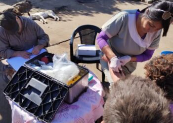 Chagas: el ministerio de Salud ya censó a 8 localidades y 84 parajes