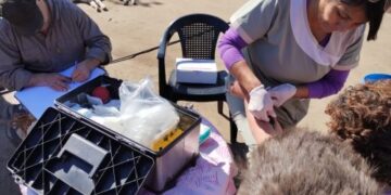 Chagas: el ministerio de Salud ya censó a 8 localidades y 84 parajes