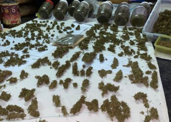 Anularon un centro de venta y distribución de drogas, se inautó marihuana valuada en más de 13 millones de pesos