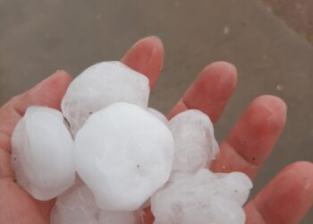 Impresionante piedra cayó en el Parque Patrio de La Punta