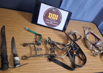 Estancia Grande: la Policía realizó allanamientos por una causa de abigeato y secuestró un automóvil y diversos elementos