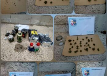 Secuestran flores de cannabis en un procedimiento antidrogas en Villa de Merlo