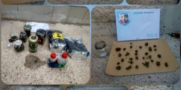 Secuestran flores de cannabis en un procedimiento antidrogas en Villa de Merlo