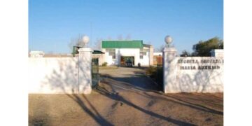 Inseguridad en Justo Daract: robaron una vaquillona y 16 pollos de la escuela agraria