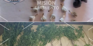 La Toma: la Policía incautó marihuana valuada en más de 100 mil pesos