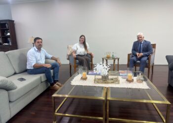 Reunión institucional para el desarrollo de Buena Esperanza y el Dupuy