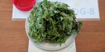 Secuestraron marihuana durante un control policial en el puesto limítrofe La Punilla