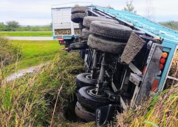 Volcó la carga de un camión en inmediaciones de la Autopista 55