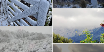Postales de la nevada en distintos puntos de la provincia