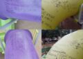 Quines: Vandalismo en juegos de la Plaza Lafinur