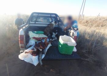 Labraron un acta por infracción a la Ley de Conservación de Fauna en el sur provincial