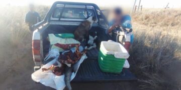 Labraron un acta por infracción a la Ley de Conservación de Fauna en el sur provincial