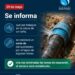 Naschel sin agua por unas horas