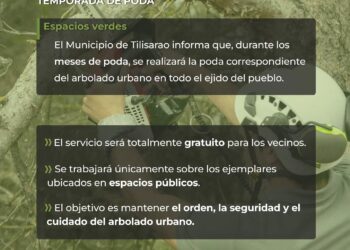 Tilisarao realizará la poda gratuita del arbolado urbano