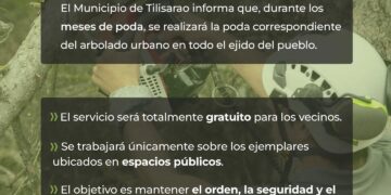 Tilisarao realizará la poda gratuita del arbolado urbano