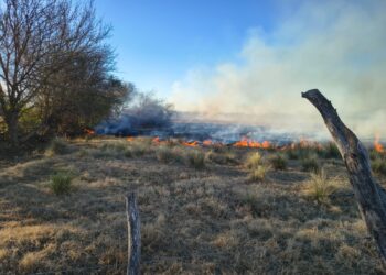 Paraje Cerrito Blanco: extinguieron un incendio forestal en un establecimiento rural
