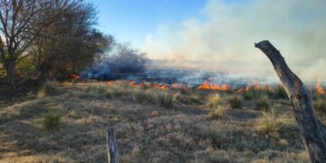 Paraje Cerrito Blanco: extinguieron un incendio forestal en un establecimiento rural
