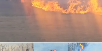 Comunicado oficial – Incendio en la zona serrana de Estancia Grande