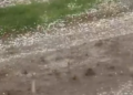 Fuerte granizada azotó Nueva Galia y cubrió las calles de hielo