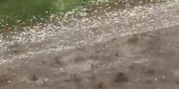 Fuerte granizada azotó Nueva Galia y cubrió las calles de hielo