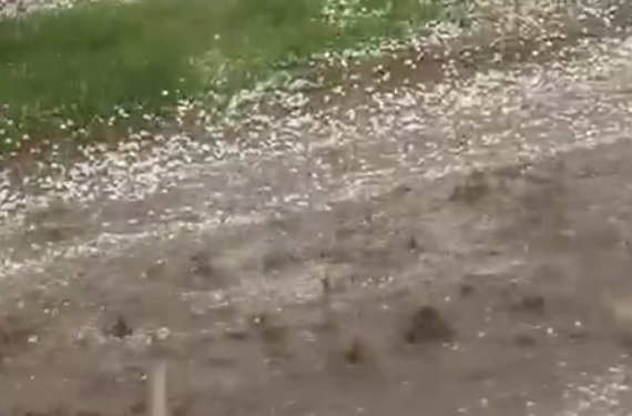 Fuerte granizada azotó Nueva Galia y cubrió las calles de hielo
