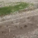 Fuerte granizada azotó Nueva Galia y cubrió las calles de hielo