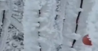 Impresionante! La ola polar complica el servicio eléctrico en Carolina y Cerros Largos