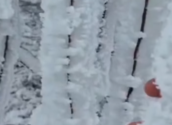Impresionante! La ola polar complica el servicio eléctrico en Carolina y Cerros Largos